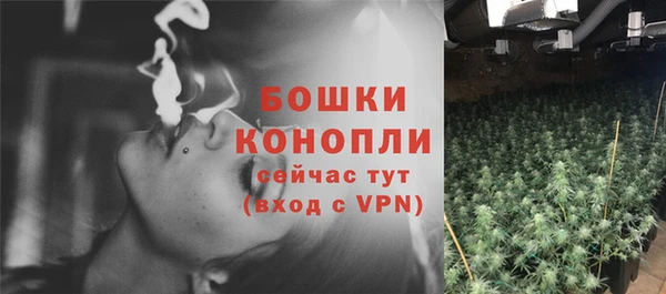 дурь Богданович