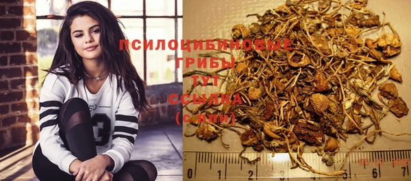 прущая мука Богородицк