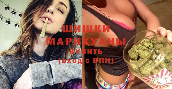 дурь Богданович