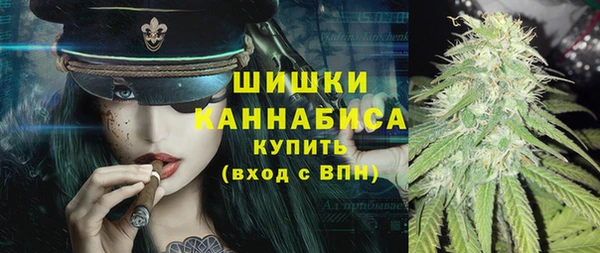 дурь Богданович