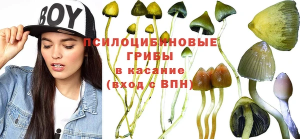 прущий лед Богородск