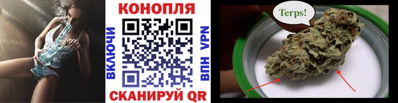 Каннабис гибрид Костерёво